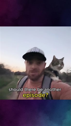 Walking My Cat: A New Adventure Series