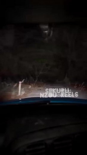 2.3K views · 18 reactions | #viralvideochallenge #humor #GhostAdventures #ghostbusters #ghost | Sukuru Nzou | Facebook