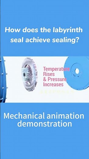 Labyrinth Seal: The Twisty Path to Leak-Free Performance! 🔄💧