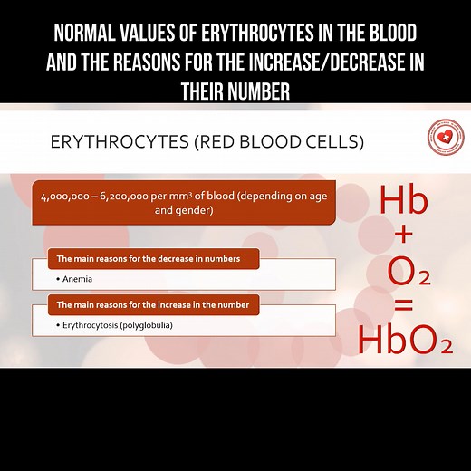 Normal values of red blood cells (erythrocytes) in the blood and causes of their number deviation | About health and science in simple words | Facebook