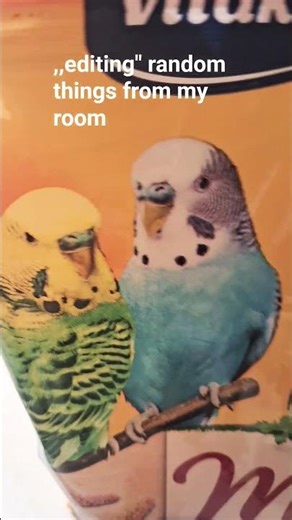 ,,editing " random things from my room . creds:@马基7000