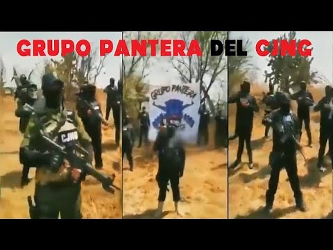 Pantera Group of the CJNG in Guanajuato
