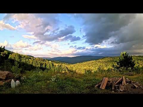 Video of Dispersed camping at Mower Basin, WV from Sonder B.