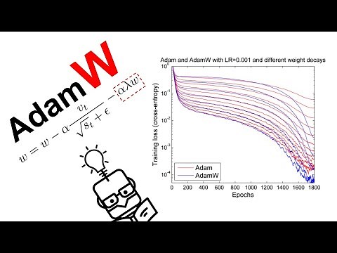 AdamW - L2 Regularization vs Weight Decay