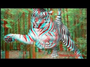 Imagens 3D as melhores selecionadas. .