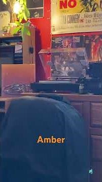 Amber - 311