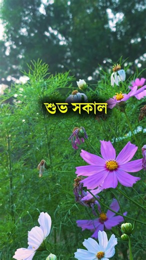 শুভ সকাল | বুধবার | ২১ জানুয়ারি ২০২৬ খ্রীস্টাব্দ #anisul #motivation #শুভসকাল #সুপ্রভাত