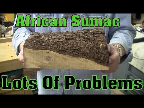 African Sumac Difficulties! 🙎 Wood Turning