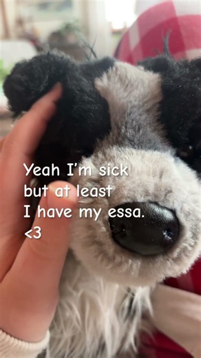 💙|| #essacommunity #emotionalsupportstuffedanimal #essa #sick #comfortplush #fypシ