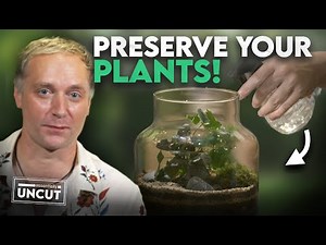 The Secret to a Long-Living Terrarium