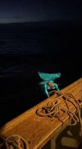 MYSTERY OF THE GLOWING MERMAID (Caught On Camera)