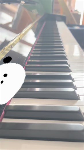 初心者によるSummerの演奏挑戦