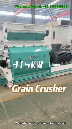 How a 315KW Feed Hammer Mill Works | Powerful Grain Crushing Machine #graincrusher