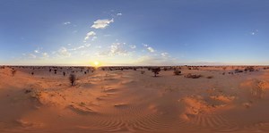 Following a Male Lion in Aerial 360 view . | Photos of Africa VR Safari | Facebook