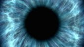 Blue human eye dilating and contracting. Very detailed extreme...