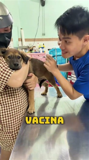 Ele enganou o cachorrinho ... #shorts #curiosidades