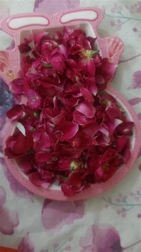 Earth Essence Co (@earth_essence_co)’s videos with Painful, crying piano music with ambient sounds(1292263) - syummacha