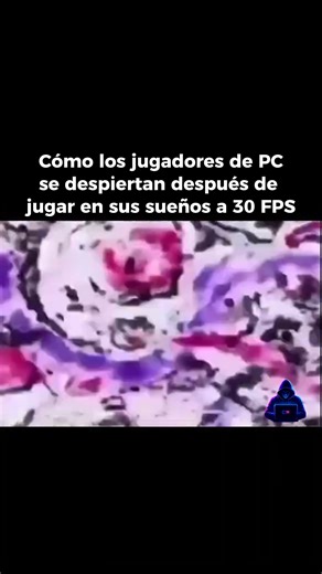 3.8K views · 115 reactions | #humor #pc #pcgaming #pcgamer | Computadoras Matamoros | Facebook