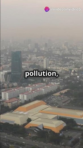 Earth Without Trees: Visualize it