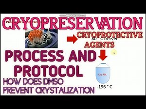 Cryopreservation ll process and protocol for cryopreservation ll Xgene and proteinX