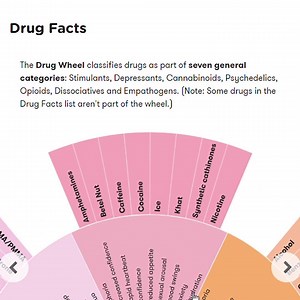 7.2K views · 71 reactions | What are synthetic cathinones made from? How does it effect the body and interact with other drugs? The answer is just the start of a journey of learning more on the ADF Drug Wheel: #reinventthewheel | Alcohol and Drug Foundation | Facebook