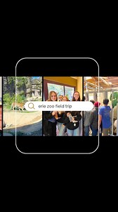 Huge thanks to Mrs. Amick for organizing an unforgettable field trip to the Erie Zoo for our BCS students! 7th-8th grade had a blast exploring, learning, and roaring with the animals—your planning made it a wild adventure! 🐊🦁 #eriezoo | Bethel Christian School - Erie, PA