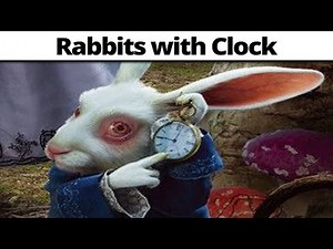 Nature Documentary : Rabbits with Clock