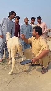 Distrito México on Reels