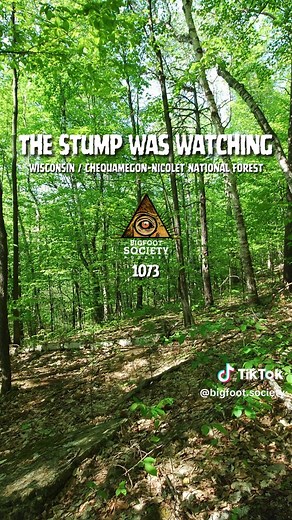 He bought land in the Chequamegon–Nicolet National Forest to build his future. At first, it was just a strange roar in the night. Then the “black stump” watching him… moved. 🎧 Listen now before you head into the woods alone. Listen here on Bigfoot Society: https://pod.link/1453429066 Watch here: https://www.youtube.com/@BigfootSociety #bigfoot #publishtoall