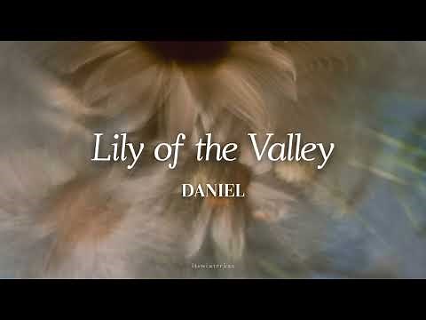 [KR/ID] DANIEL - Lily of the Valley 은방울 (Lyrics Translation Sub Indo)