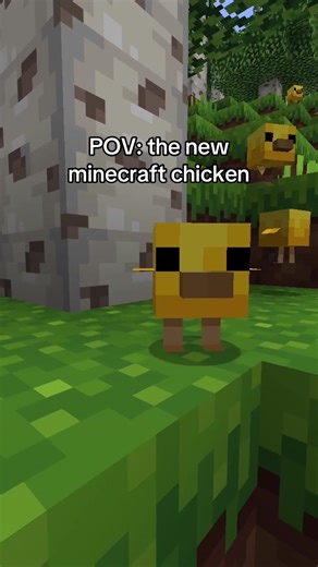 New update #minecraft #minecraftupdate #chickens #fyp #baby | minecraft