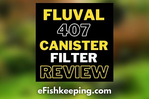 Fluval 407 Canister Filter Review: Is It Worth Buying?