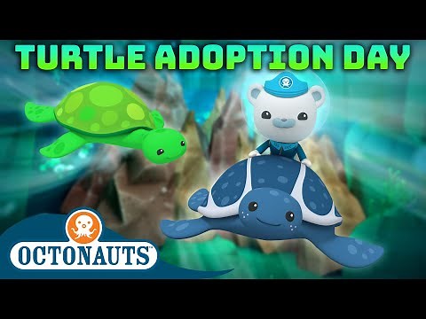 ‪@Octonauts‬ - 🐢 Turtle Fever 🎉 | Turtle Adoption Day | 50 Mins+ Compilation