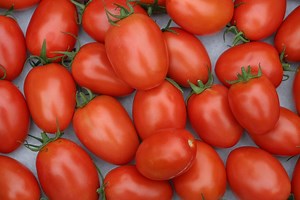 Roma VF (improved) Tomato Seeds, Heirloom, Non-gmo, Solanum Lycopersicum LY3025 - Etsy