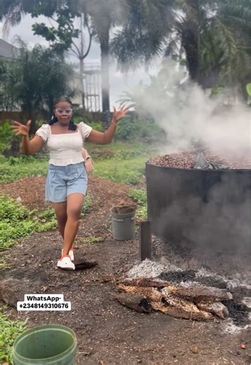 Exploring Palm Oil Processing in Nigeria