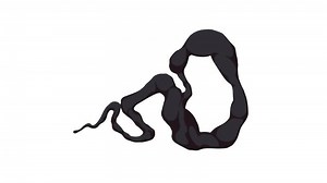 Download 4k element pack collections. Liquid, fire, energy, line, and monochrome transitions for free