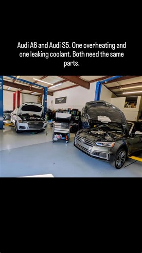 Vintage Auto on Instagram: "Vacuum actuated water pump not holding vacuum on one causing it to overheat. One leaking coolant at the vacuum operated valve and had coolant in the vacuum line. Luckily neither got coolant pulled into the vacuum pump. #vintageautosc #audi #vw #audirepair #vwrepair #audiperformance #vwperformance #greenvillesc #shoplife #rollmodelscarclub #yeahthatgreenville"