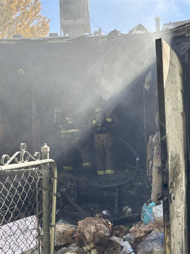 Dog dies in apartment complex fire in Clifton