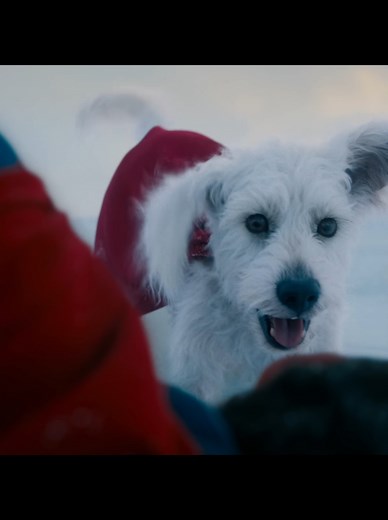 Discover Krypto: The Super Dog of Superman