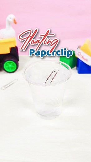 Make a Paperclip Float: Discover Surface Tension Magic