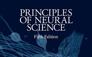 神经科学原理5th（坎德尔Kandel） 21 Sensory Coding 1