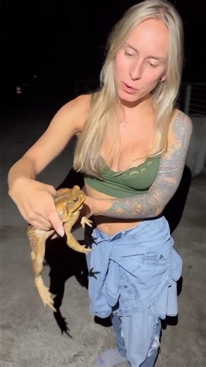 The amazing Cane toad.