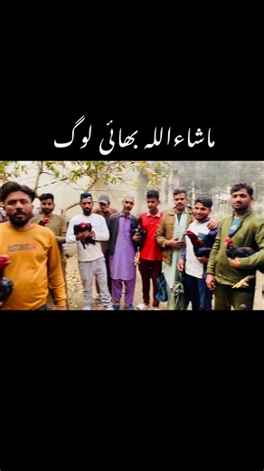 Amazing Aseel Shok Moments That Will Make You Smile