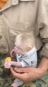 5.9K views · 64 reactions | Animal Home on Reels | Facebook