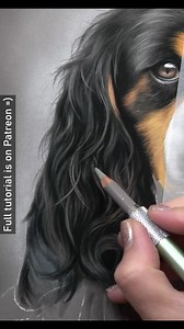 26K views · 415 reactions | Drawing Spaniel ears can be one of the...