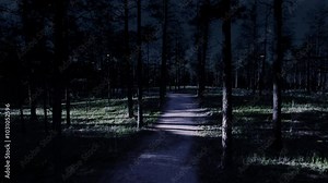 Through a Magical Moonlit Forest with Fireflies 4K features moving down a path in a pine forest with moonlight slanting in from the left and fireflies all around. Stock Video