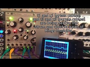 Mutable Instruments Introduces New Marbles Eurorack Module