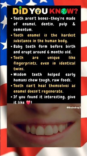 Teeth aren't bones—they're made of enamel, dentin, pulp & cementum.