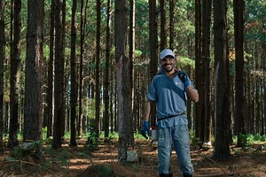 Katam – Öka skogstillväxten med datadriven gallring