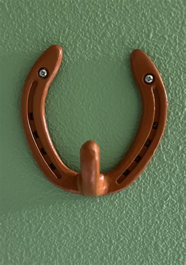 Horseshoe Wall Hook - Western Decor - Etsy